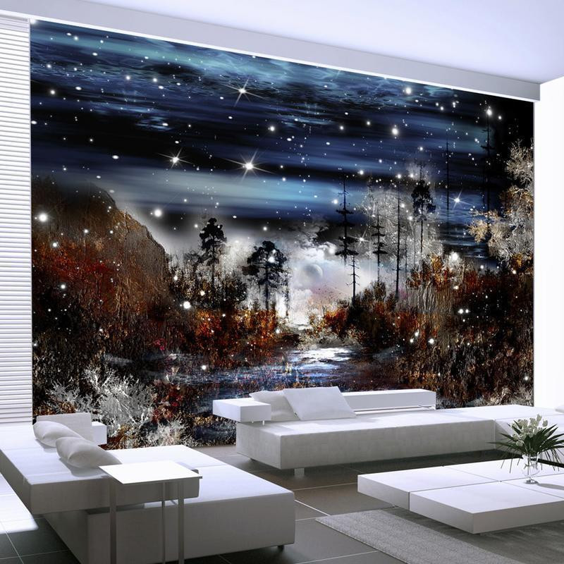 34,00 € Wall Mural - Night in the forest