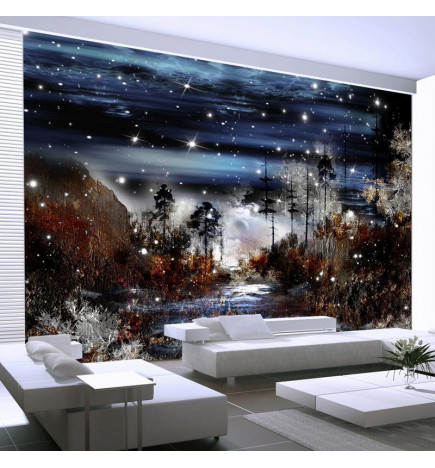 Mural de parede - Night in the forest