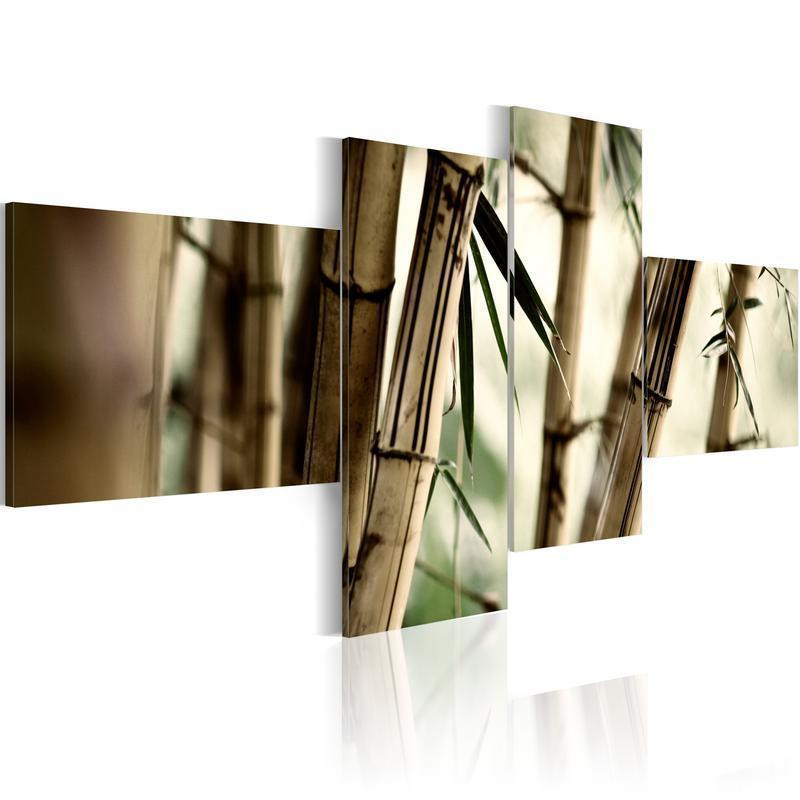 70,90 € Canvas Print - Bamboo inspiration
