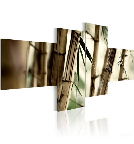 Leinwandbild - Bamboo inspiration