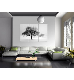 61,90 €Tableau - Trees submerged in white