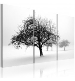Schilderij - Trees submerged in white