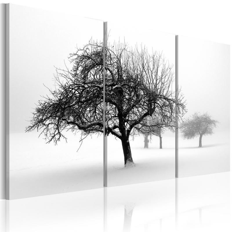 61,90 € Schilderij - Trees submerged in white