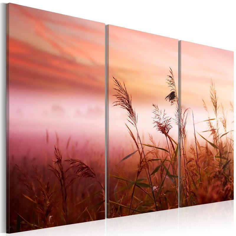 61,90 € Canvas Print - A silent meadow