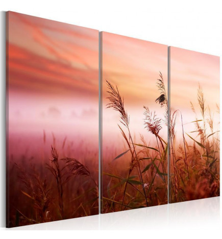 Schilderij - A silent meadow