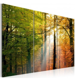 Schilderij - A calm autumn forest