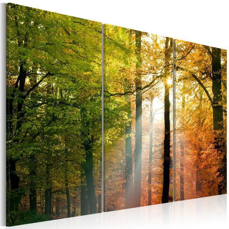 61,90 € Canvas Print - A calm autumn forest
