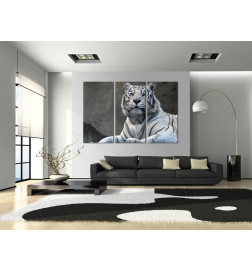 61,90 € Leinwandbild - White tiger