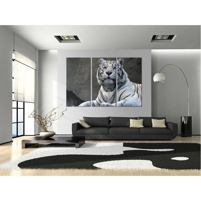 61,90 € Slika - White tiger