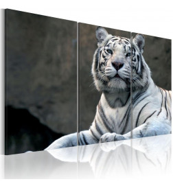 Schilderij - White tiger