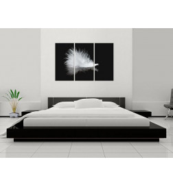 Canvas Print - A small feather