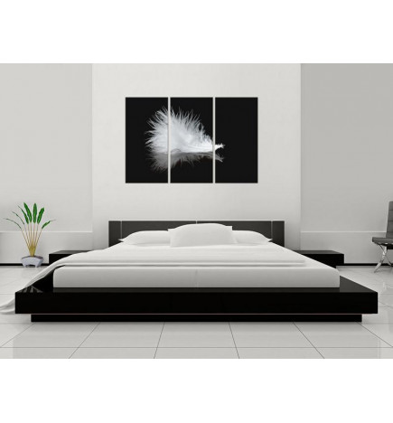 61,90 € Cuadro - A small feather