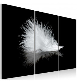 61,90 € Paveikslas - A small feather