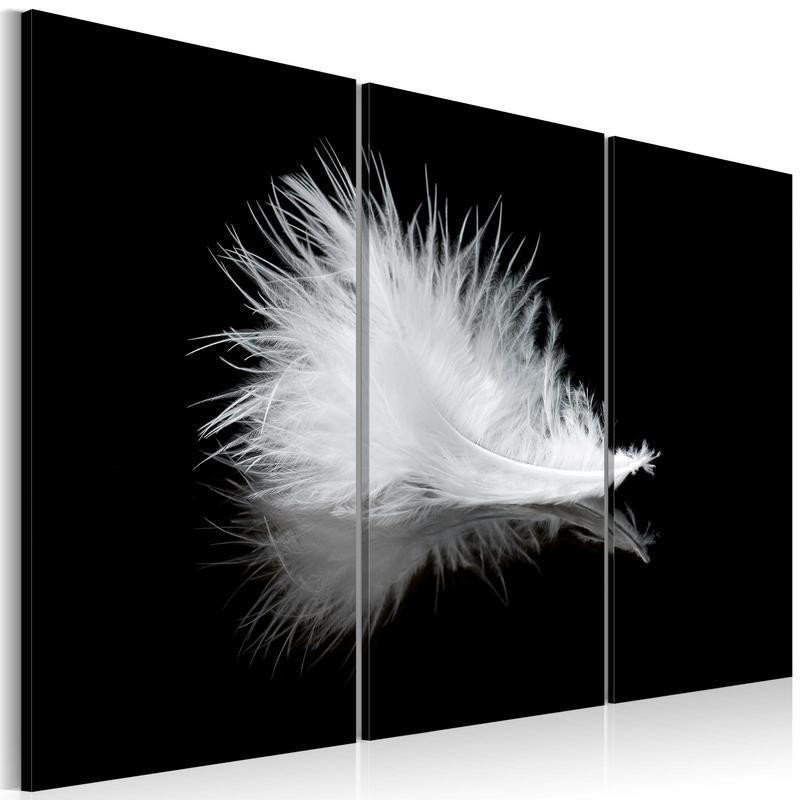 61,90 € Leinwandbild - A small feather