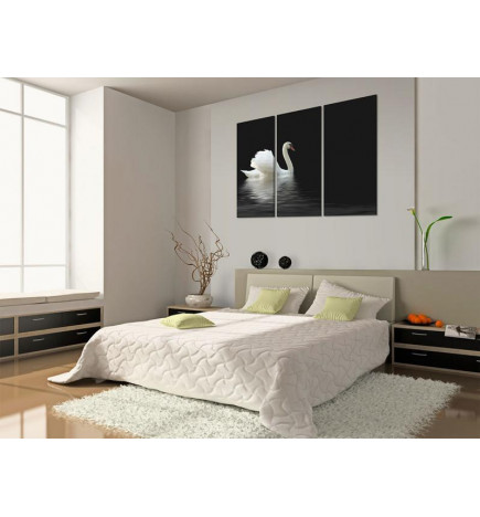 61,90 €Quadro - A lonely white swan