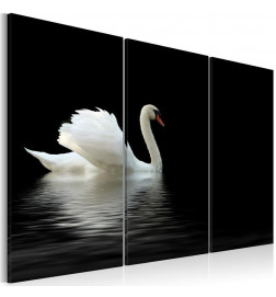 Leinwandbild - A lonely white swan