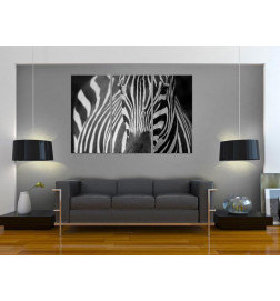 61,90 € Canvas Print - Mrs Zebra