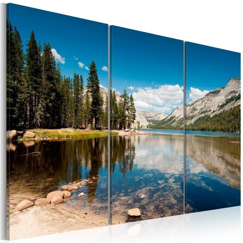 61,90 € Canvas Print - Mountains trees and pure lake