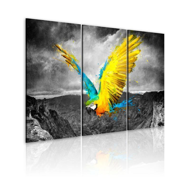 61,90 € Canvas Print - Bird-of-paradise