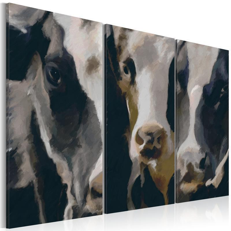 61,90 € Canvas Print - Piebald cow