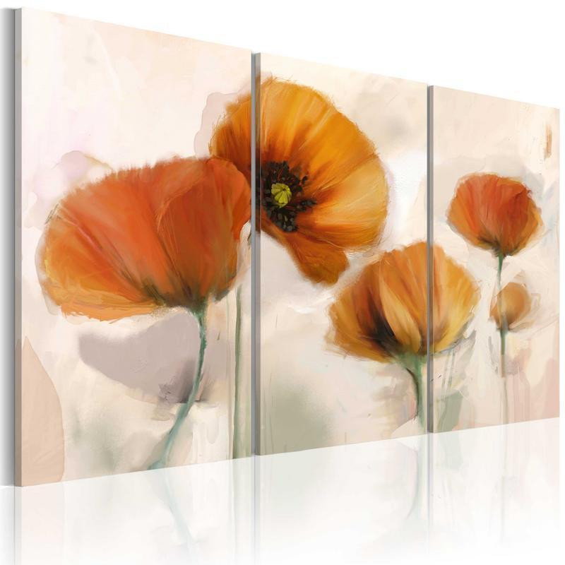 61,90 € Leinwandbild - Artistic poppies - triptych