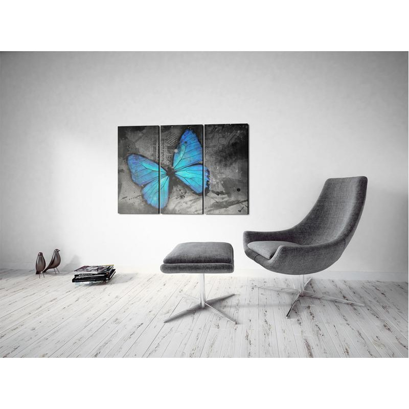 61,90 € Leinwandbild - The study of butterfly - triptych