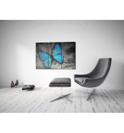 61,90 € Canvas Print - The study of butterfly - triptych