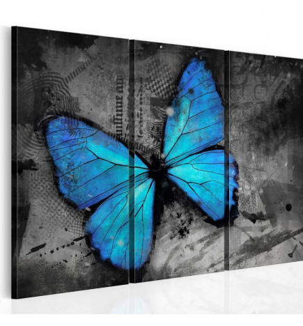 Cuadro - The study of butterfly - triptych