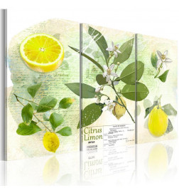 Schilderij - Fruit: lemon