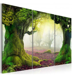Leinwandbild - Mysterious forest - triptych