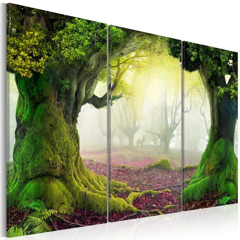 61,90 € Leinwandbild - Mysterious forest - triptych