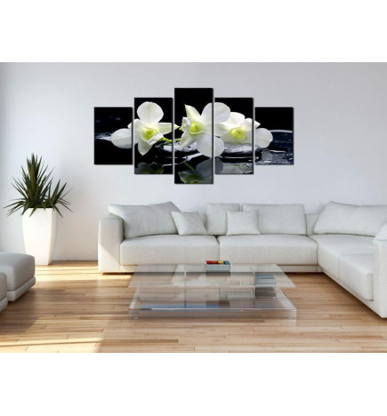70,90 € Canvas Print - Melancholic orchids