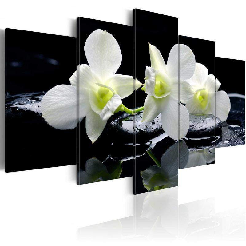 70,90 € Leinwandbild - Melancholic orchids