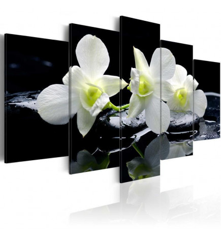 Canvas Print - Melancholic orchids