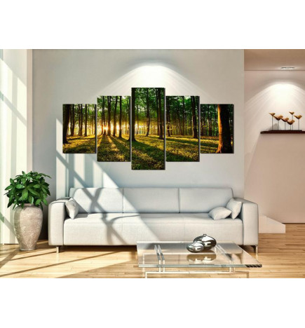 70,90 € Canvas Print - Adventure in the woods