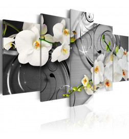 70,90 € Canvas Print - Milky orchids