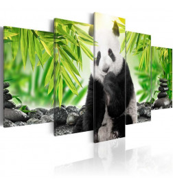 70,90 € Canvas Print - Sweet Little Panda
