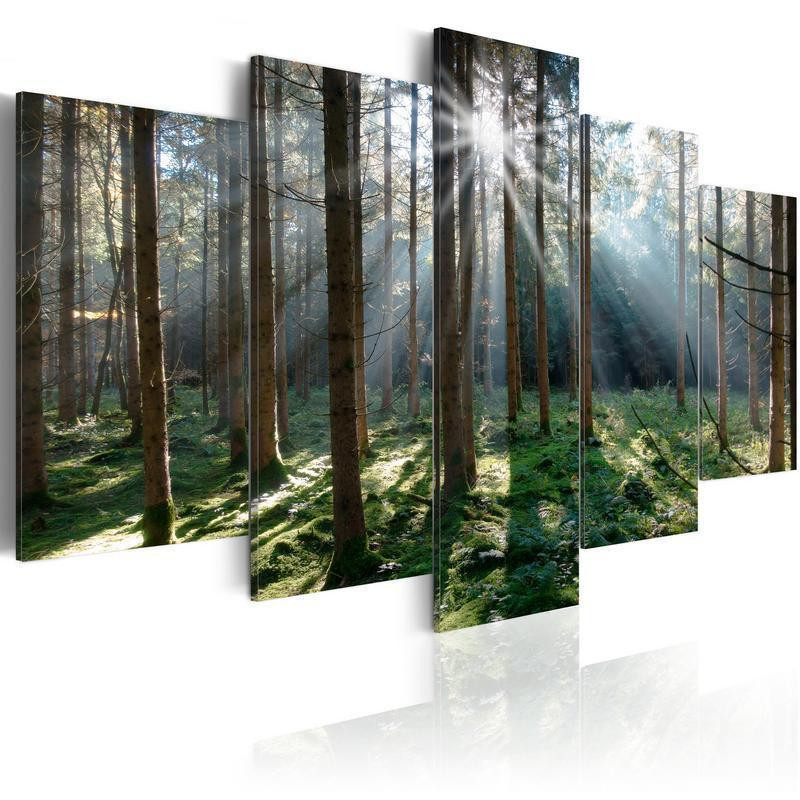 70,90 € Leinwandbild - Fairytale Forest