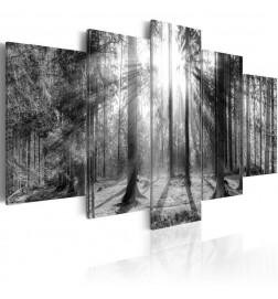 Schilderij - Forest of Memories