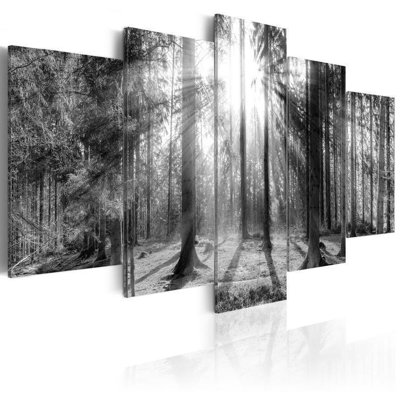70,90 € Leinwandbild - Forest of Memories