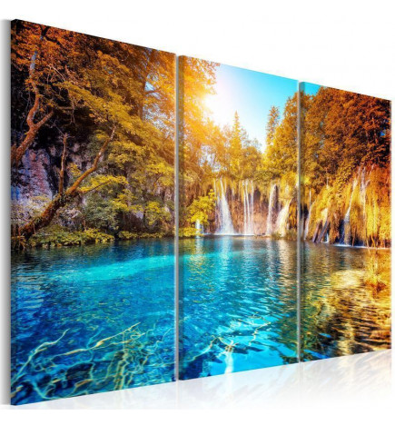 61,90 € Cuadro - Waterfalls of Sunny Forest