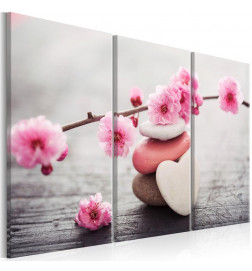 61,90 € Canvas Print - Zen: Cherry Blossoms II