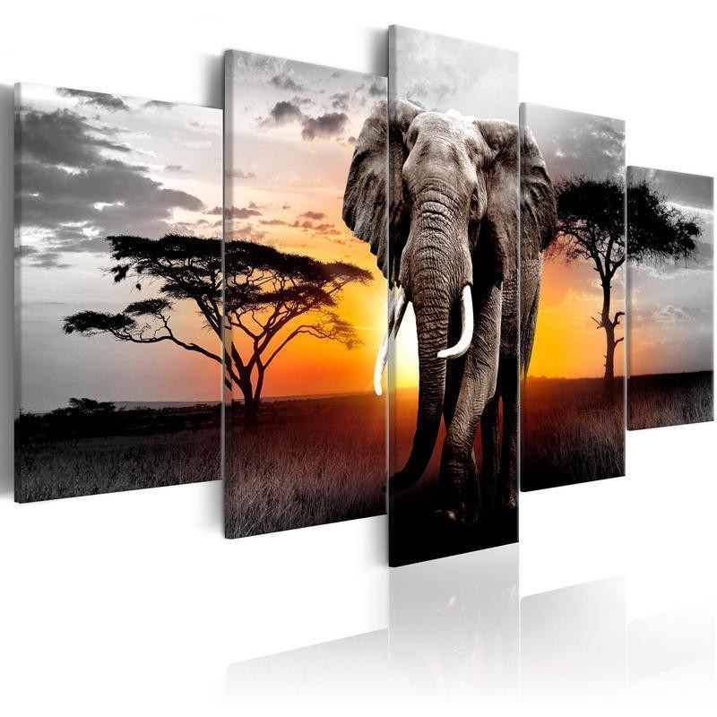 70,90 € Canvas Print - Elephant at Sunset