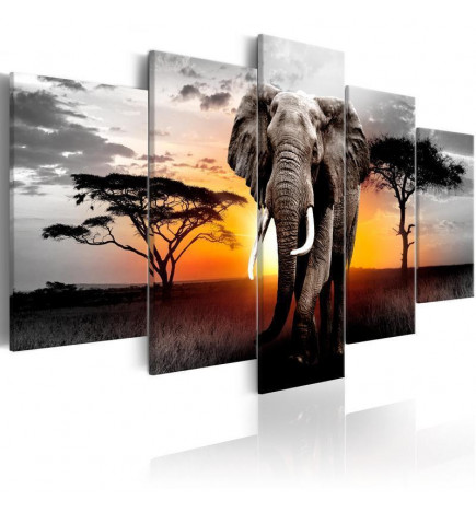 Leinwandbild - Elephant at Sunset