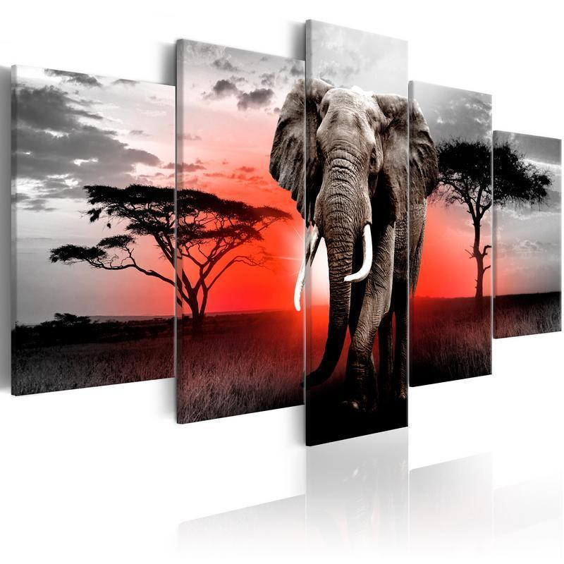 70,90 € Canvas Print - Lonely Elephant