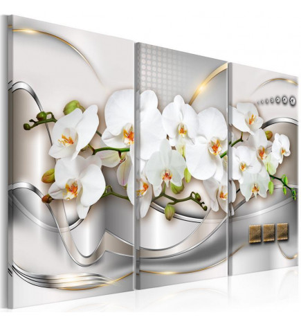 Leinwandbild - Blooming Orchids I