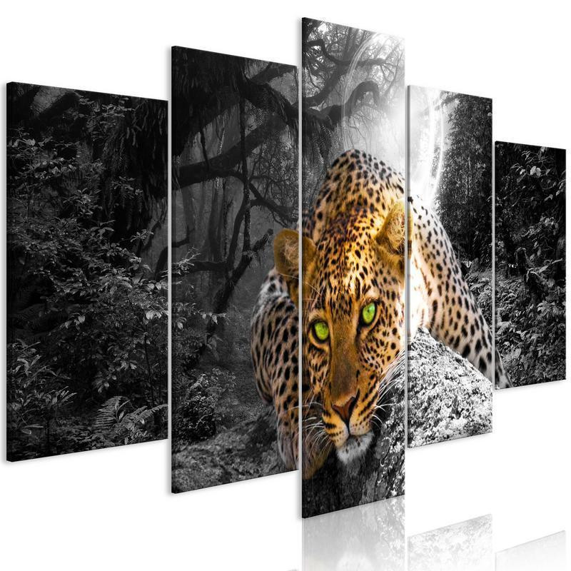 70,90 € Canvas Print - Leopard Lying (5 Parts) Wide Grey