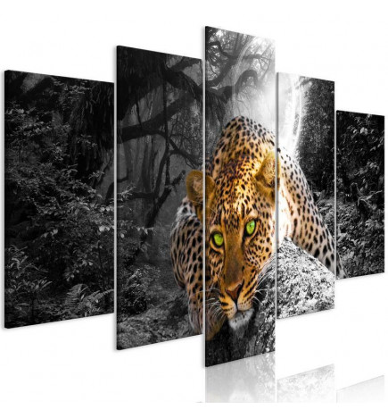 Tablou - Leopard Lying (5 Parts) Wide Grey