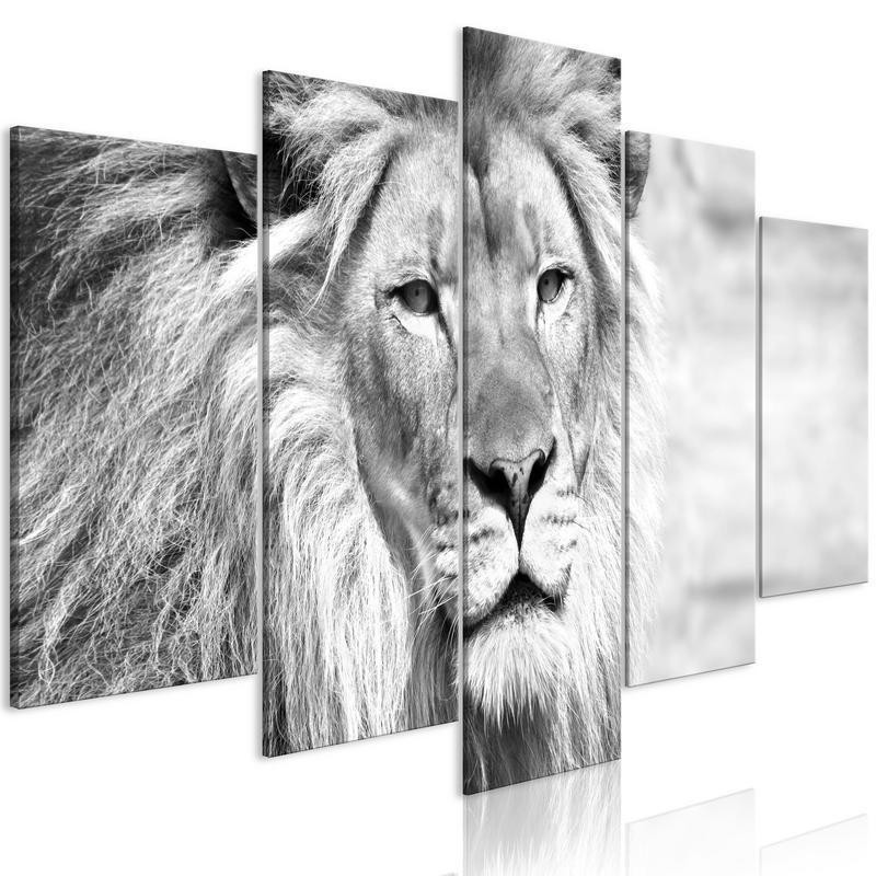 70,90 € Canvas Print - The King of Beasts (5 Parts) Wide Black and White