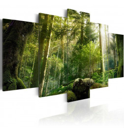 70,90 € Leinwandbild - The Beauty of the Forest